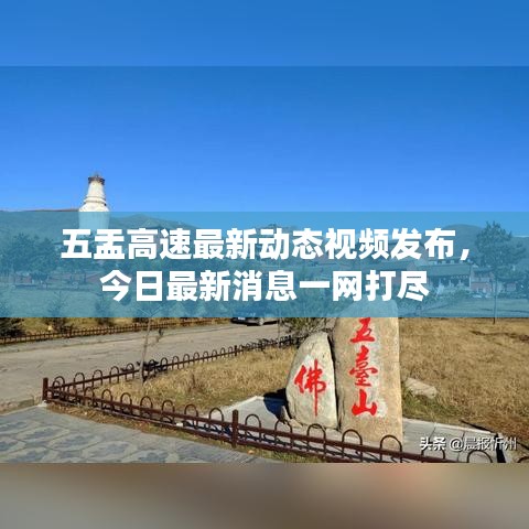 五盂高速最新动态视频发布，今日最新消息一网打尽