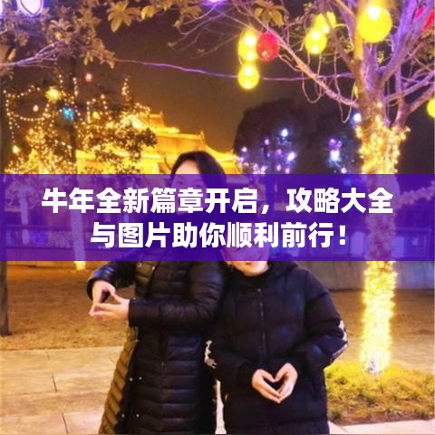 牛年全新篇章开启，攻略大全与图片助你顺利前行！