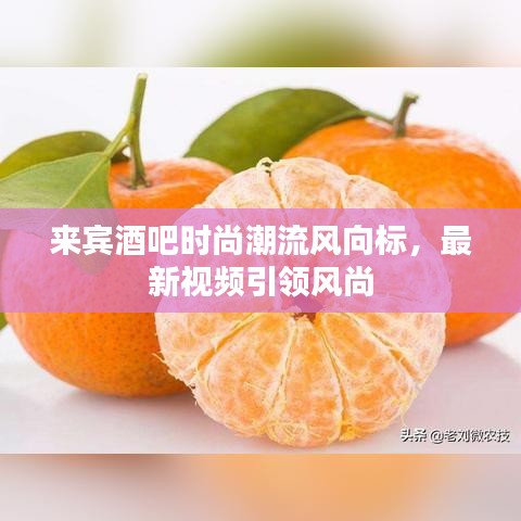 来宾酒吧时尚潮流风向标，最新视频引领风尚