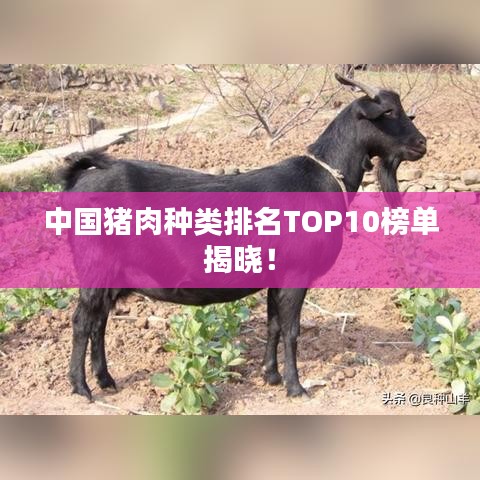 夫荣妻贵 第2页