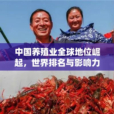 中国养殖业全球地位崛起，世界排名与影响力深度解析