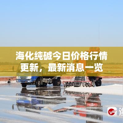 海化纯碱今日价格行情更新，最新消息一览