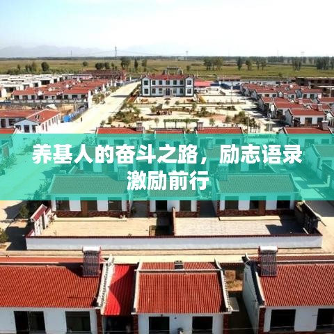 养基人的奋斗之路，励志语录激励前行