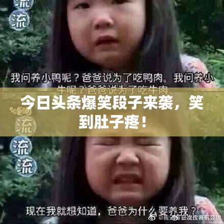 今日头条爆笑段子来袭，笑到肚子疼！