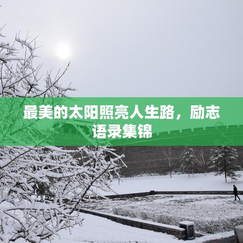 唾沫横飞 第2页