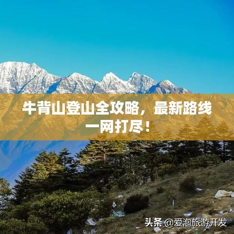 牛背山登山全攻略，最新路线一网打尽！
