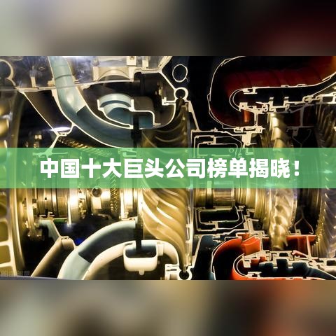 中国十大巨头公司榜单揭晓！