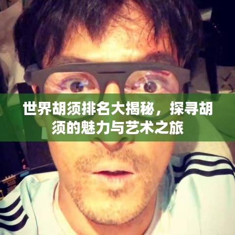 世界胡须排名大揭秘，探寻胡须的魅力与艺术之旅