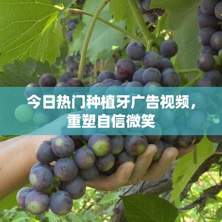 无独有偶 第2页