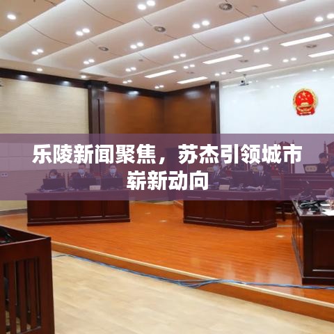 乐陵新闻聚焦，苏杰引领城市崭新动向