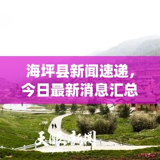 海坪县新闻速递，今日最新消息汇总