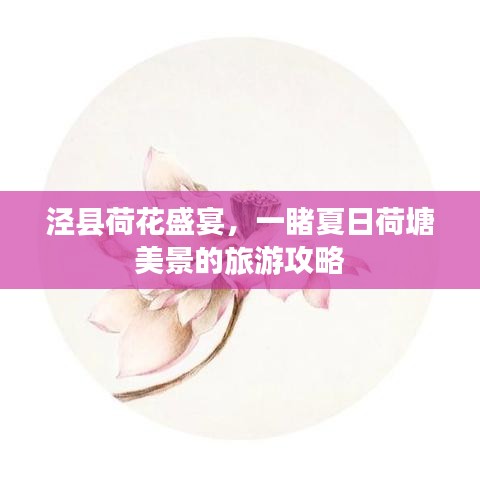 泾县荷花盛宴，一睹夏日荷塘美景的旅游攻略