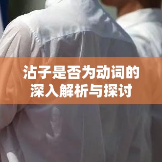 沾子是否为动词的深入解析与探讨