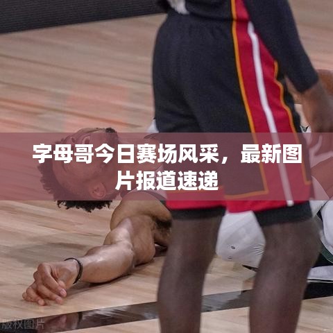 字母哥今日赛场风采，最新图片报道速递