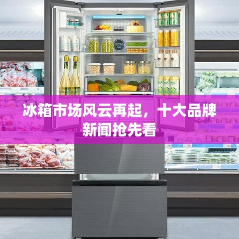 冰箱市场风云再起，十大品牌新闻抢先看