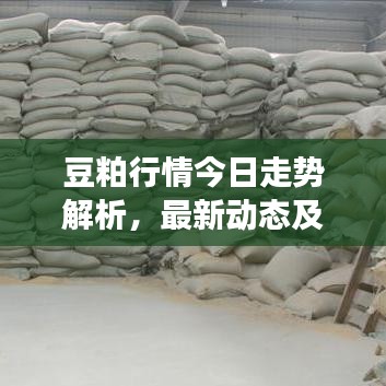 豆粕行情今日走势解析，最新动态及市场预测