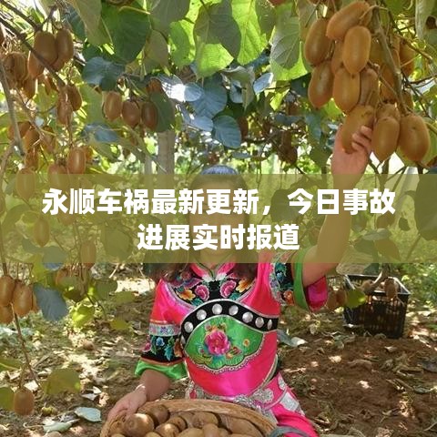 永顺车祸最新更新，今日事故进展实时报道