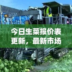 今日生菜报价表更新，最新市场消息一网打尽