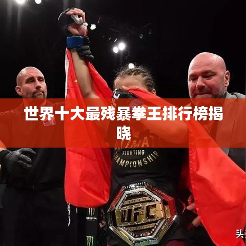 世界十大最残暴拳王排行榜揭晓