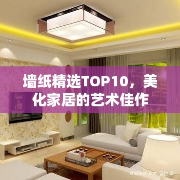 墙纸精选TOP10，美化家居的艺术佳作