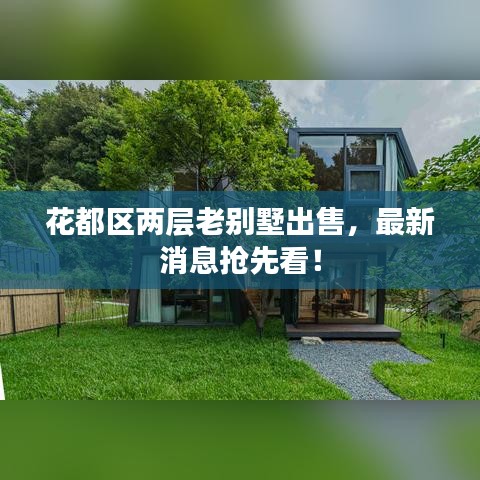 花都区两层老别墅出售，最新消息抢先看！