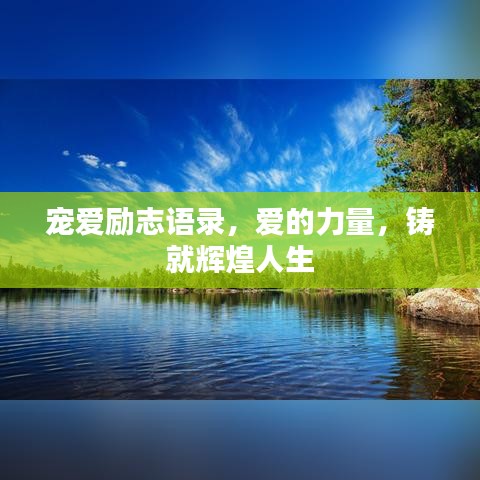 容光焕发 第2页