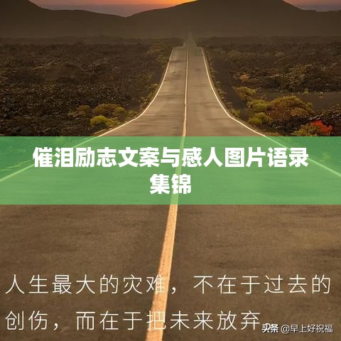 催泪励志文案与感人图片语录集锦