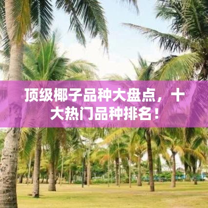 顶级椰子品种大盘点，十大热门品种排名！