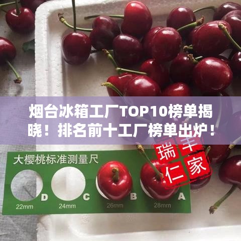 烟台冰箱工厂TOP10榜单揭晓！排名前十工厂榜单出炉！