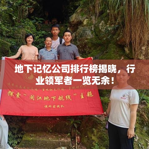 地下记忆公司排行榜揭晓，行业领军者一览无余！