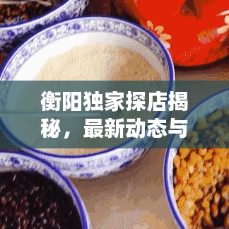 衡阳独家探店揭秘，最新动态与独特风情体验