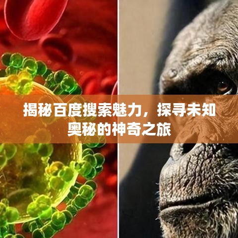 揭秘百度搜索魅力，探寻未知奥秘的神奇之旅