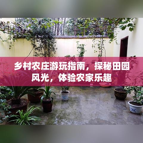 乡村农庄游玩指南，探秘田园风光，体验农家乐趣