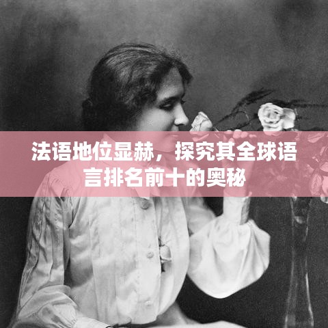 法语地位显赫，探究其全球语言排名前十的奥秘