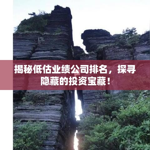 揭秘低估业绩公司排名，探寻隐藏的投资宝藏！