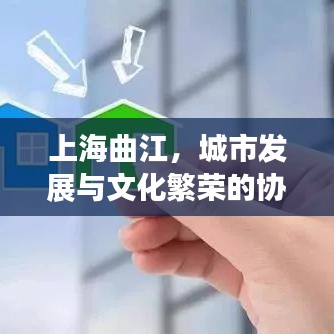 上海曲江，城市发展与文化繁荣的协奏曲新闻头条