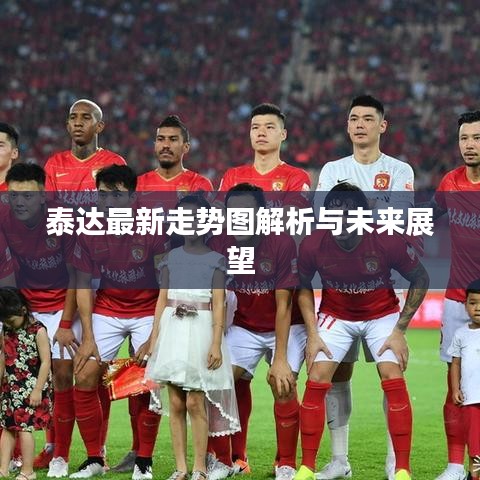 泰达最新走势图解析与未来展望