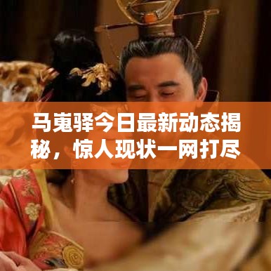 马嵬驿今日最新动态揭秘，惊人现状一网打尽！