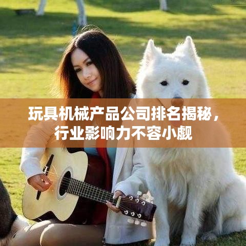 玩具机械产品公司排名揭秘，行业影响力不容小觑