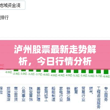 泸州股票最新走势解析，今日行情分析