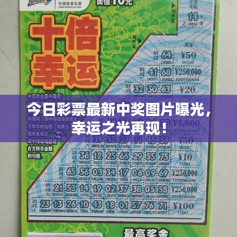 今日彩票最新中奖图片曝光，幸运之光再现！