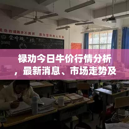禄劝今日牛价行情分析，最新消息、市场走势及影响因素探讨