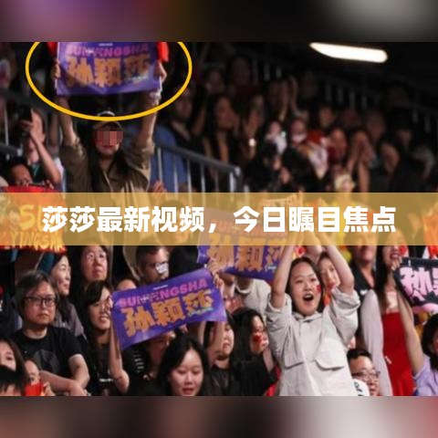 莎莎最新视频，今日瞩目焦点