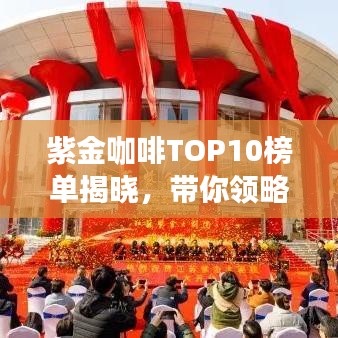 紫金咖啡TOP10榜单揭晓，带你领略咖啡文化的独特魅力