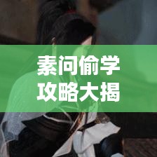 素问偷学攻略大揭秘，最新知识探索捷径