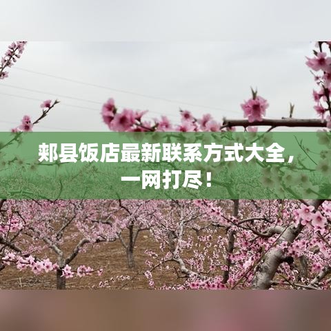 秀外慧中 第2页