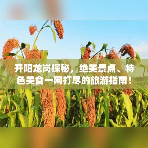 开阳龙岗探秘，绝美景点、特色美食一网打尽的旅游指南！