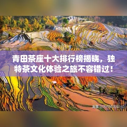 青田茶座十大排行榜揭晓，独特茶文化体验之旅不容错过！