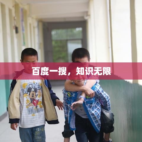 百度一搜，知识无限