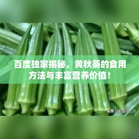百度独家揭秘，黄秋葵的食用方法与丰富营养价值！